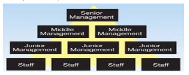 Management structure