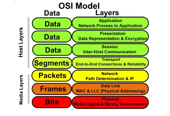 OSI Model for networking assignment.