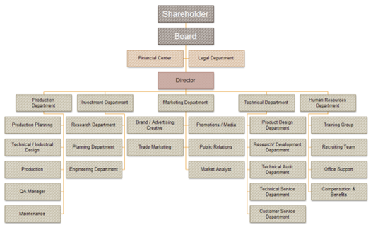 Organizational Structure in strategic Human 1
