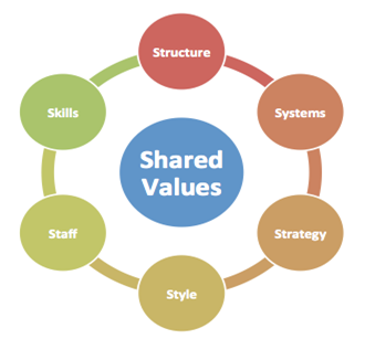 McKinsey 7 S Model in corporate strategy assignment