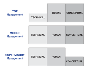  Skills Theory in corporate strategy assignment