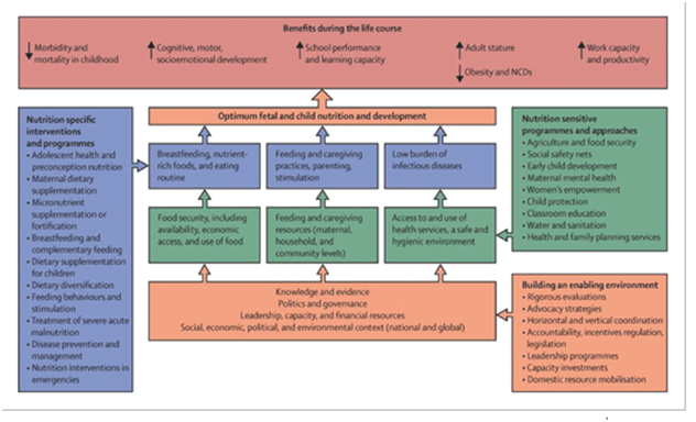 A framework to achieve the optimum child and fetal nutritional development