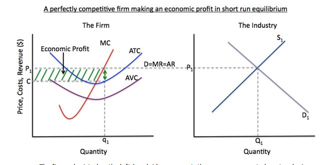 Perfectly Competitive firm