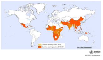 Prevalence of Vibrio Cholerae in biology assignment