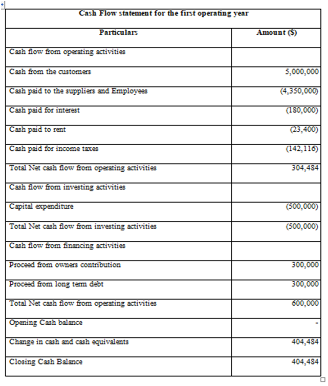 Profit and loss statement for first 12 months