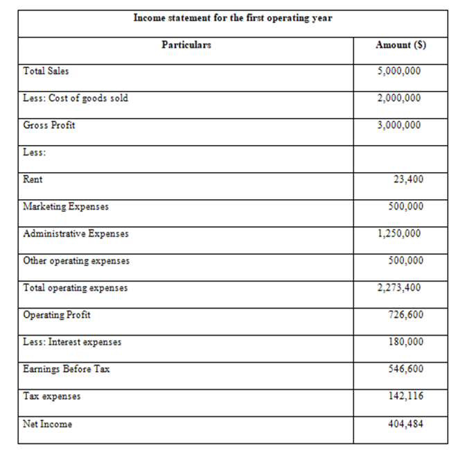 Profit and loss statement for first 12 months