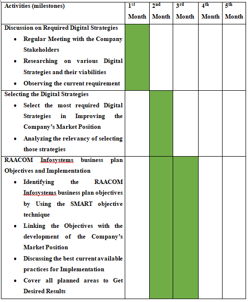 RAACOM Infosystems business plan