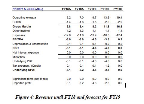 Revenue FY18 forecast FY19 BTH business model