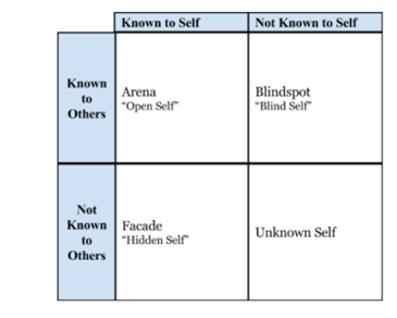 Johari Window Decision making in reflective essay