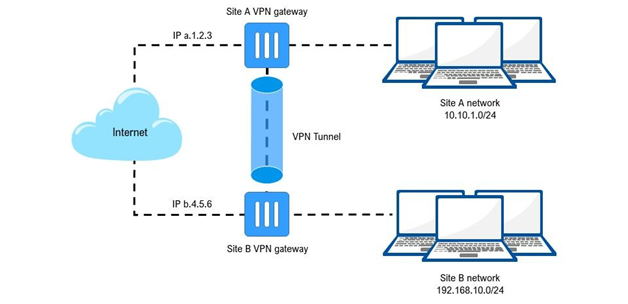 Schematic of the network with the solution