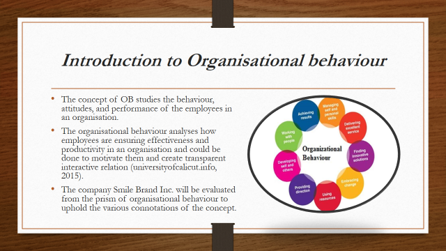 Smile Brands organisational behaviour