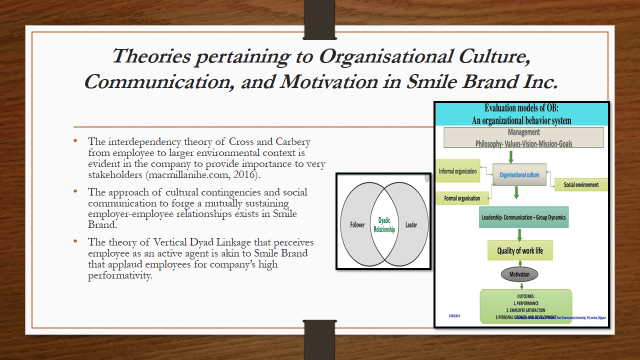 Smile Brands organisational behaviour