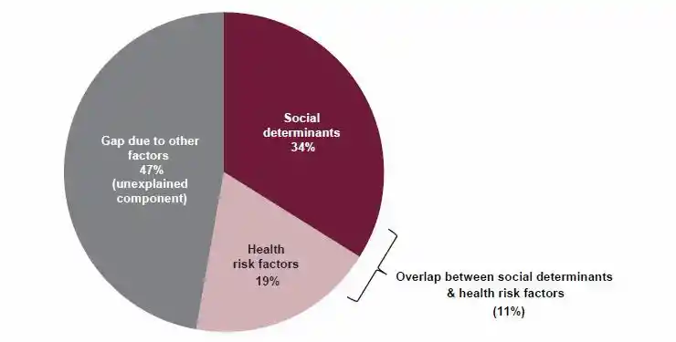 Social determinants and risk factors in health in indigenous health reflective essay