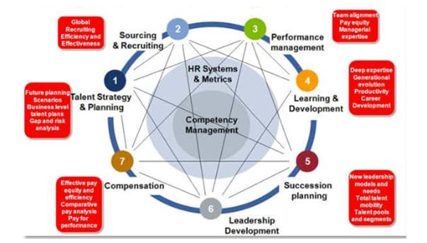 Talent Management in HRM assignment