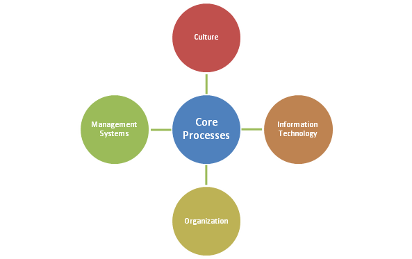 The Product Leader Business Model in health care assignment