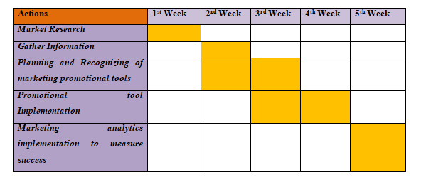 Timeline in marketing strategy assignment