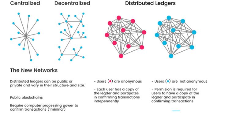 Types of networks in IT assignment.