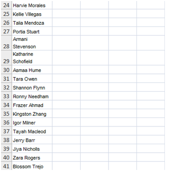 Version 1 Spreadsheet Created by the student