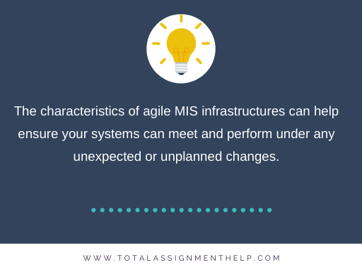 Agile MIS Infrastructure