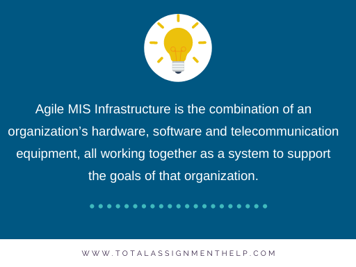 Agile MIS Infrastructure