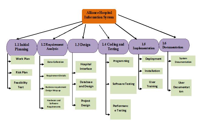 alliance hospital information system