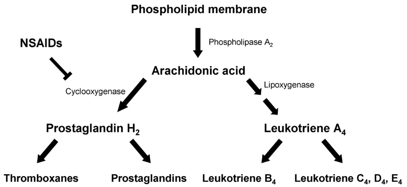 aspirin and paracetamol