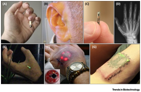 bio hacking in cyber security assignment