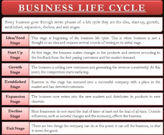 business life cycle