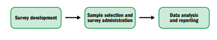 survey research process in business research assignment