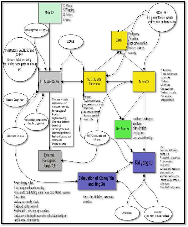 Chinese Medicine assignment Diagram on diagnosis 