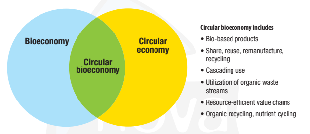 circular economy assignment in Bioeconomy