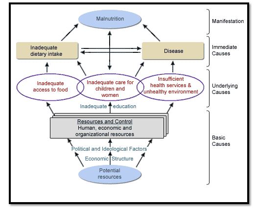 conceptual framework in nutrition case study