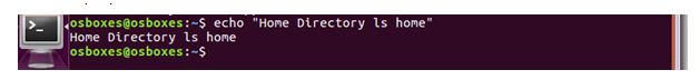 echo command in os assignment