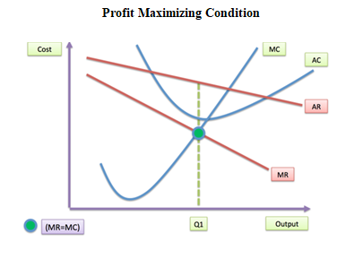 Nawaz in economics assignment 