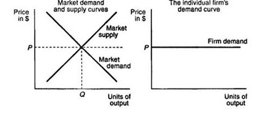 Wang and Lu in economics assignment 