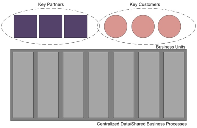 Diversification Operating Model in enterprise architecture assignment