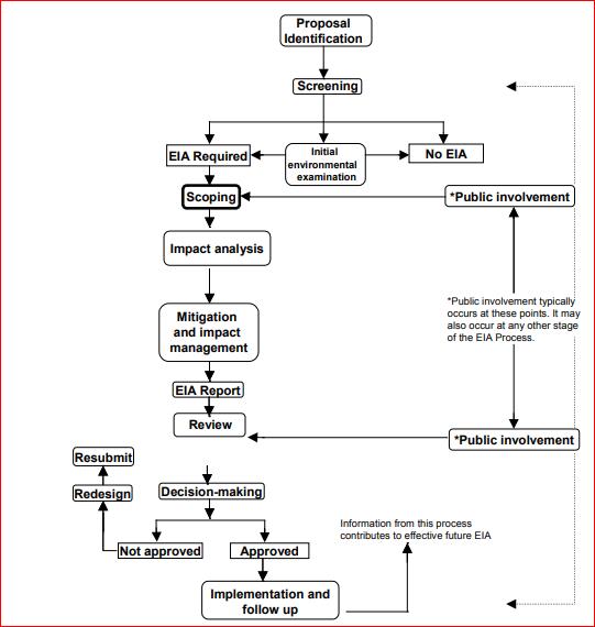 environmental impact assessment essay