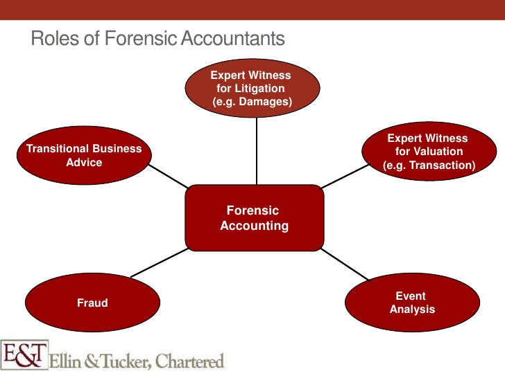 forensic accounting assignment