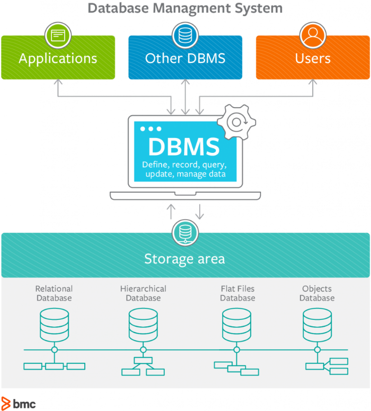 information system development case study