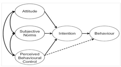 literature review theory of planned behavior