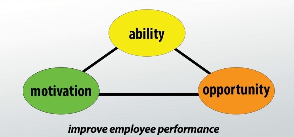 management-assignment-1