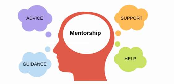 mentorship assignment help
