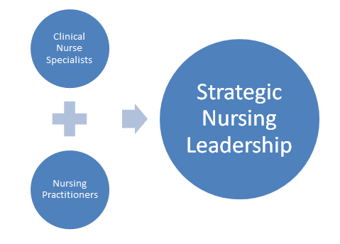 nursing leadership assignment