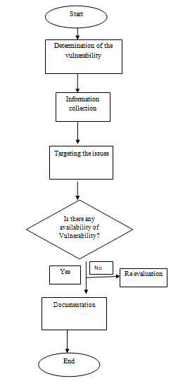 penetration testing assignment