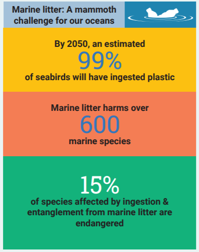 plastic pollution assignment