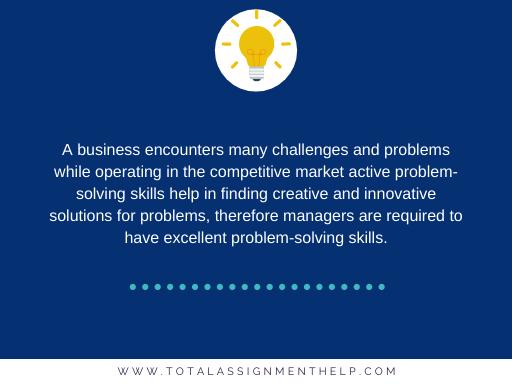 problem-solving skills in professional-development-essay