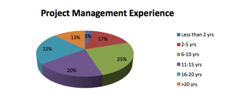 project management experience