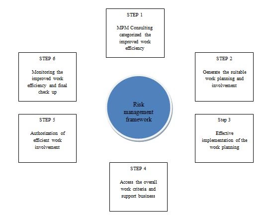 risk management assignment