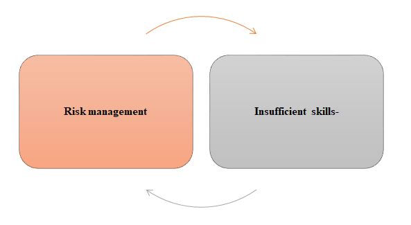 risk management of samsung