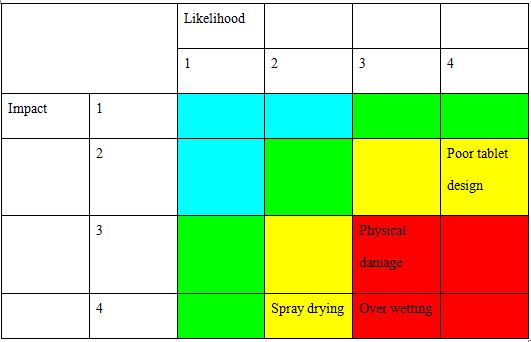 risk management plan assignment